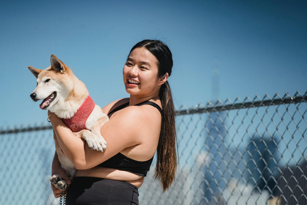 Is Your Pet Food Really Helping? 5 Signs to Watch For